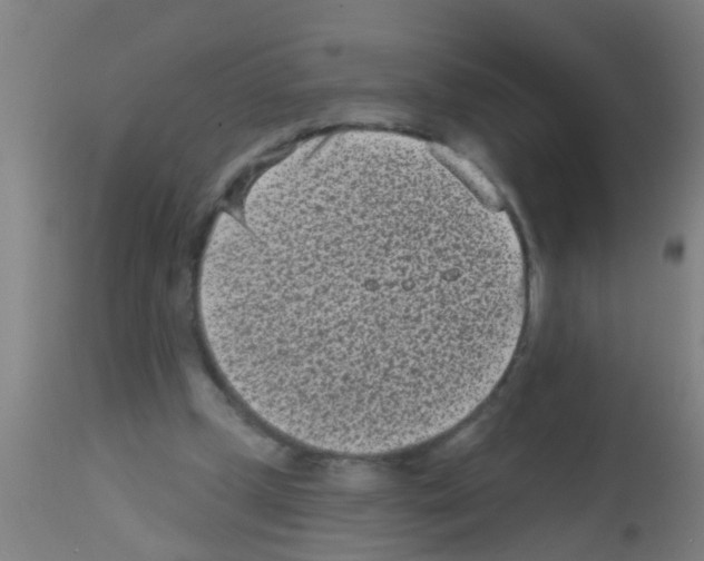 X0000113160249200910161251