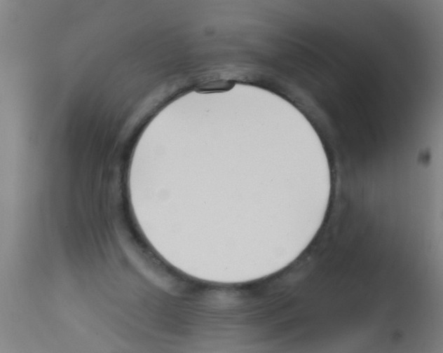 X0000113160250200910161251