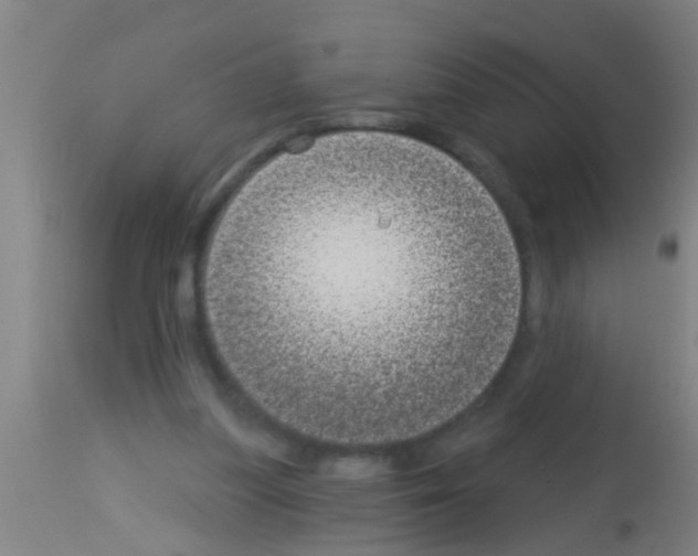 X0000113160251200910161251