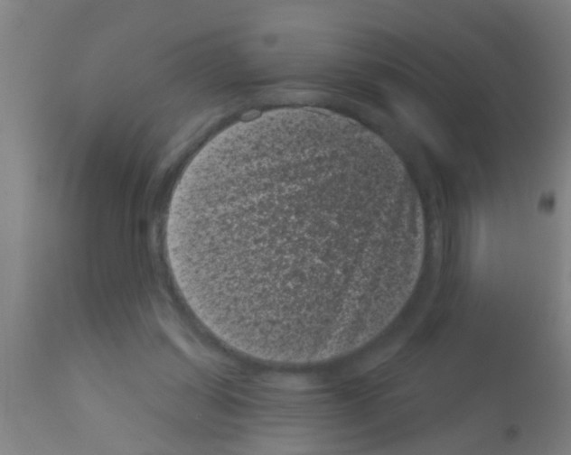 X0000113160254200910161251