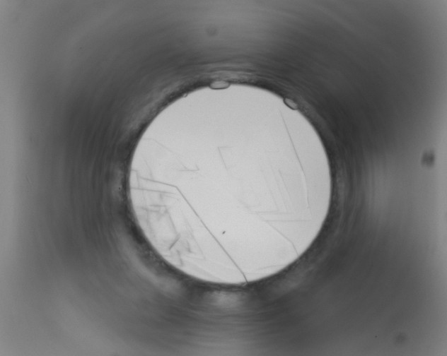 X0000113160255200910161251