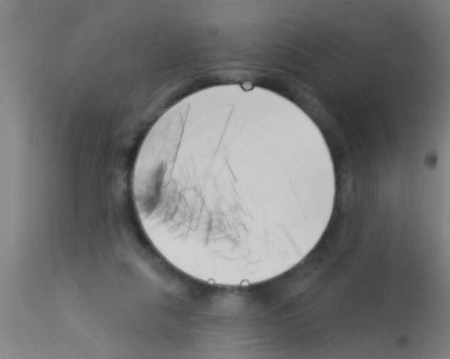 X0000113160259200910161251