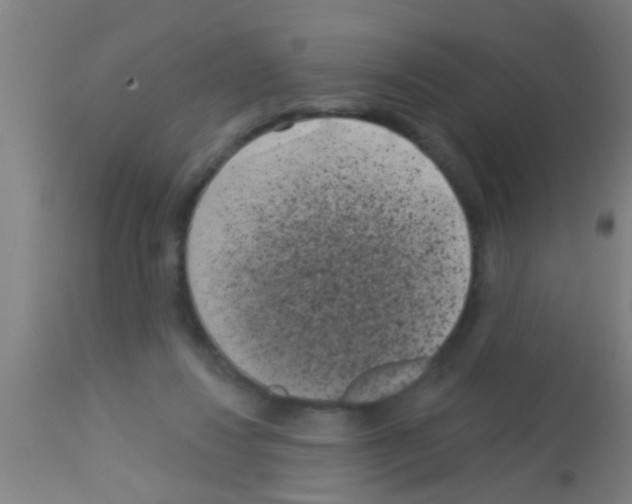 X0000113160260200910161251