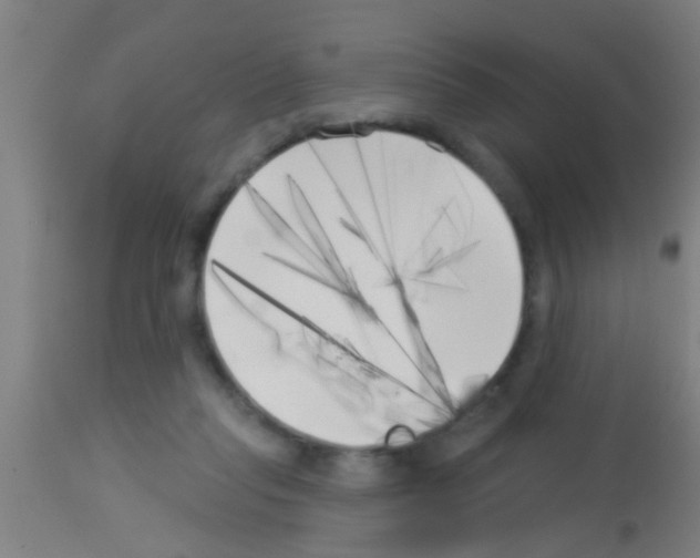 X0000113160261200910161251