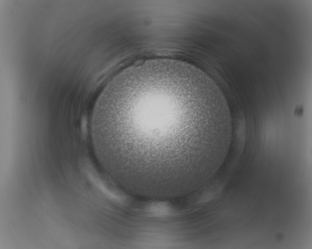 X0000113160262200910161251