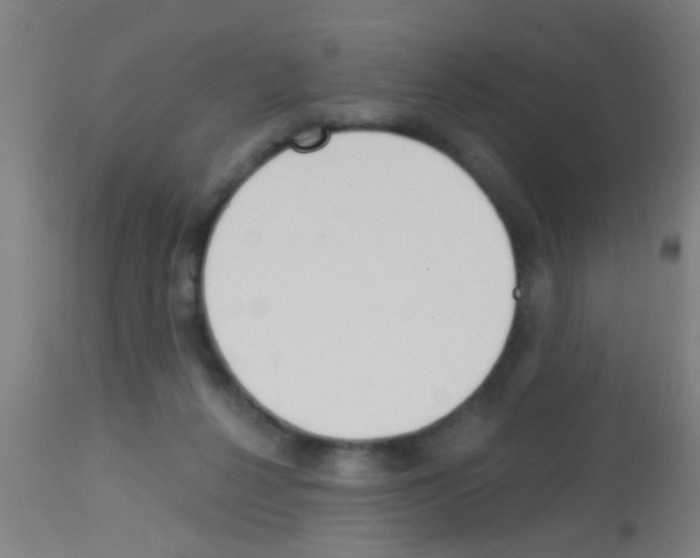 X0000113160264200910161251