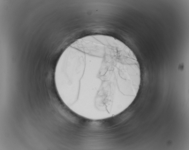 X0000113160265200910161251