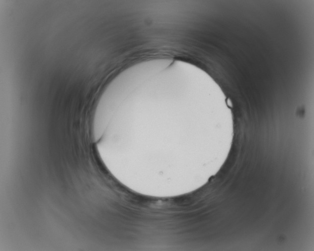 X0000113160268200910161251