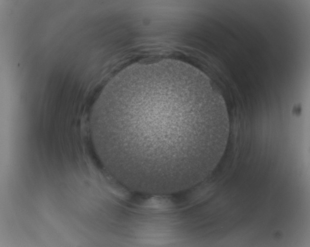 X0000113160270200910161251