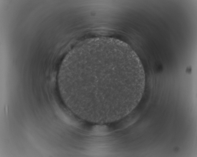 X0000113160271200910161251