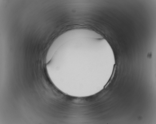 X0000113160272200910161251