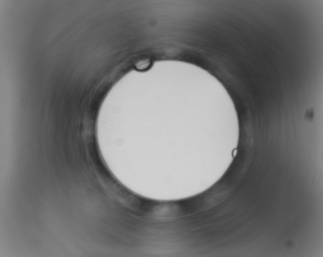 X0000113160274200910161251