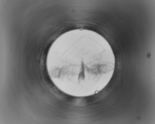 X0000113160275200910161251