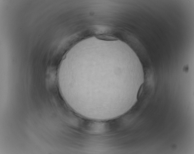 X0000113160276200910161251