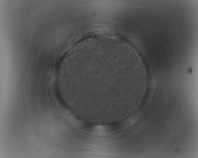 X0000113160277200910161251