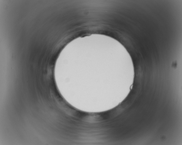 X0000113160278200910161251