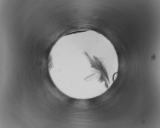 X0000113160282200910161251