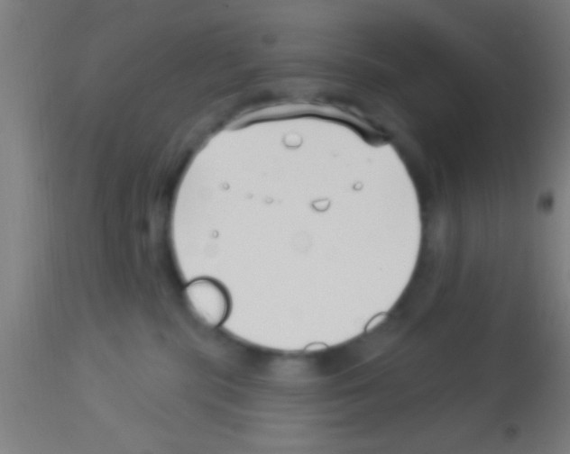 X0000113160283200910161251