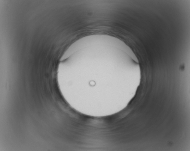 X0000113160284200910161251