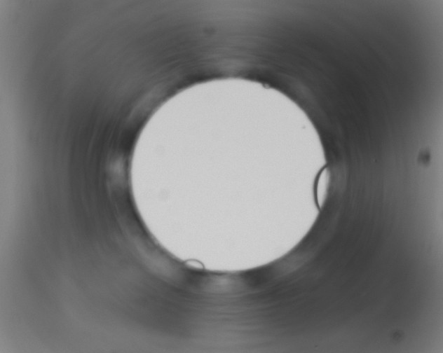 X0000113160286200910161251