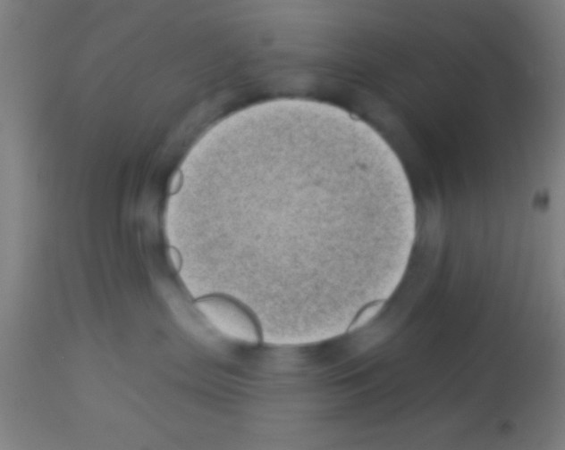 X0000113160287200910161251