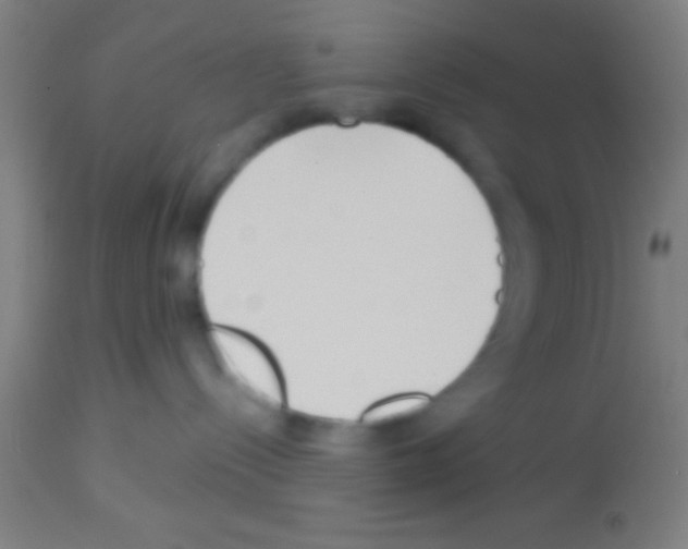 X0000113160288200910161251