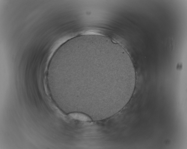 X0000113160289200910161251