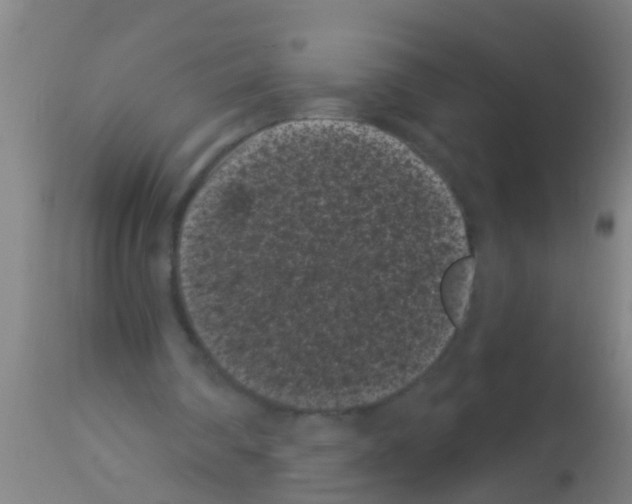 X0000113160290200910161251