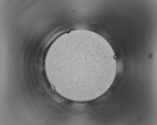 X0000113160291200910161251