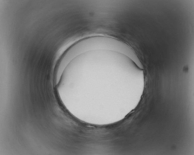 X0000113160292200910161251