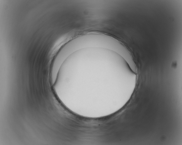 X0000113160293200910161251