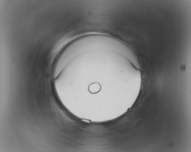 X0000113160296200910161250