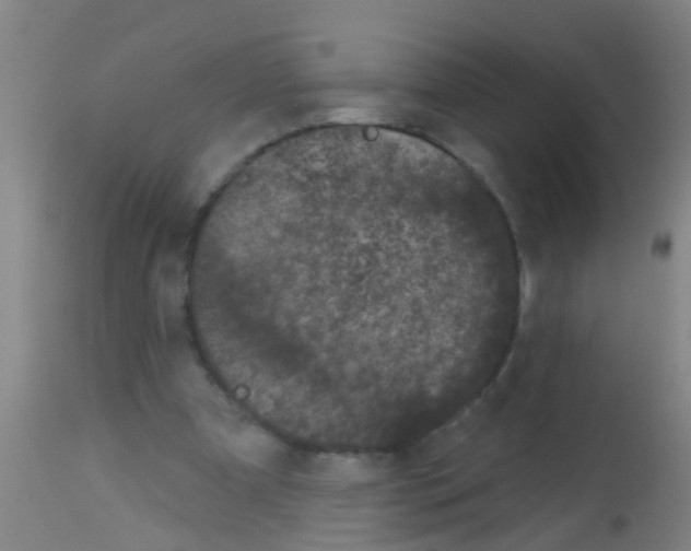 X0000113160297200910161250