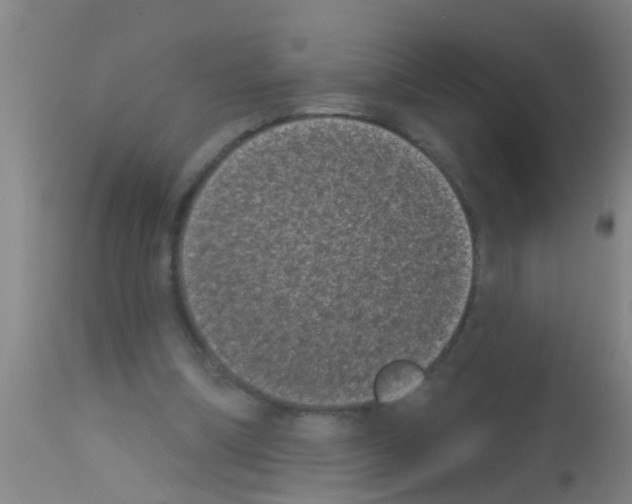 X0000113160298200910161250