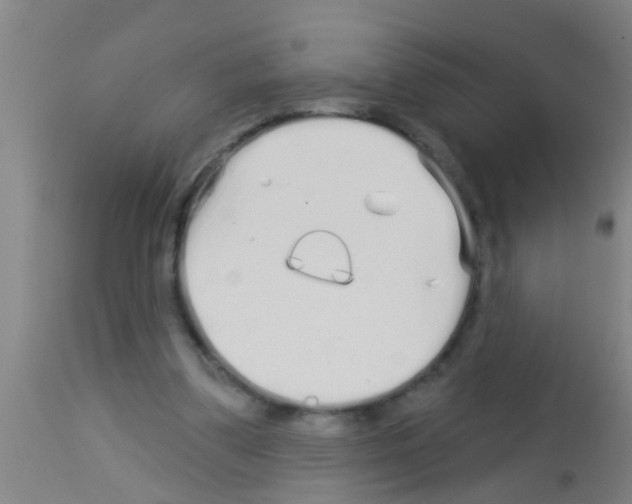 X0000113160299200910161250