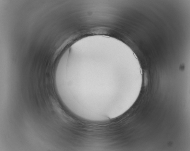 X0000113160300200910161250