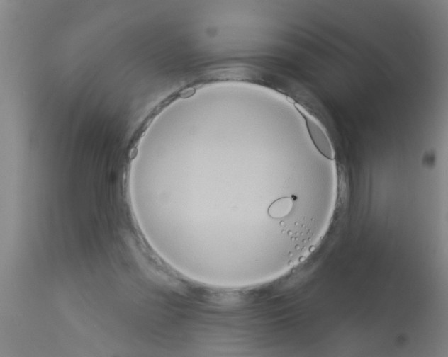 X0000113160301200910161250