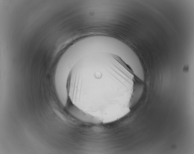 X0000113160302200910161250