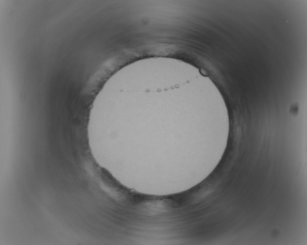 X0000113160307200910161250