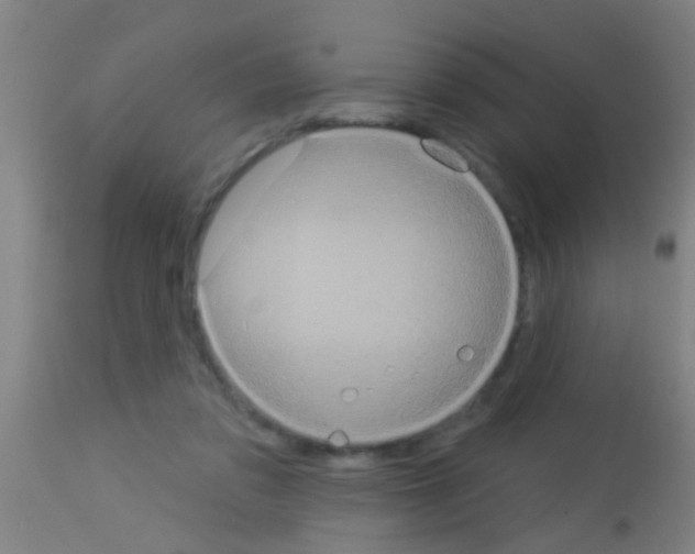 X0000113160309200910161250