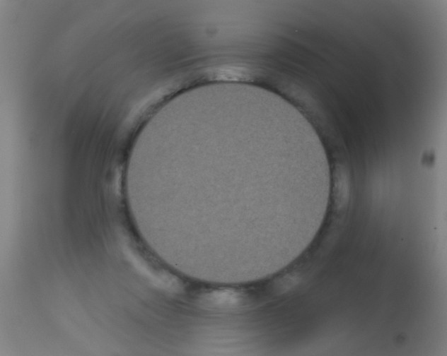 X0000113160310200910161250