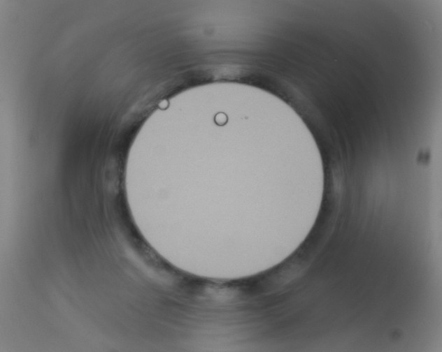 X0000113160311200910161250