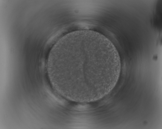 X0000113160314200910161250