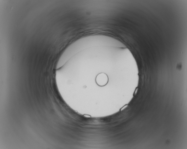 X0000113160316200910161250