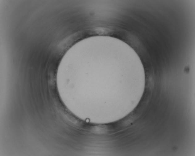 X0000113160317200910161250