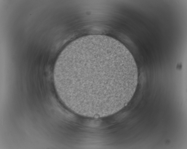 X0000113160318200910161250