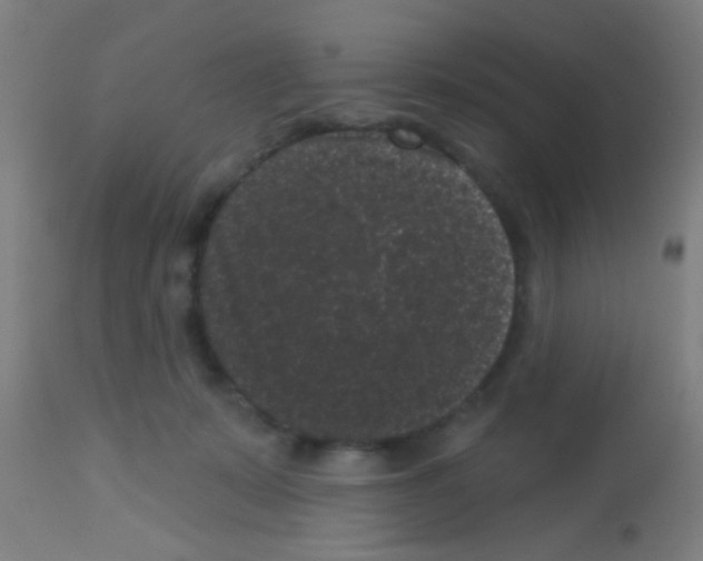 X0000113160319200910161250