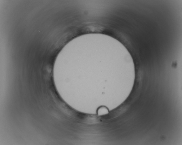 X0000113160321200910161250