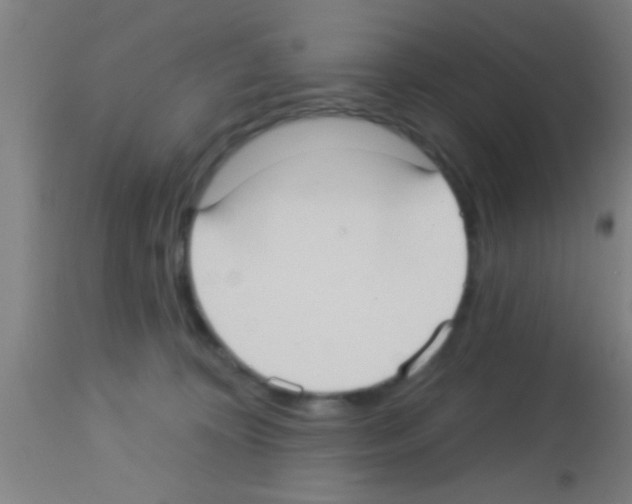 X0000113160324200910161250