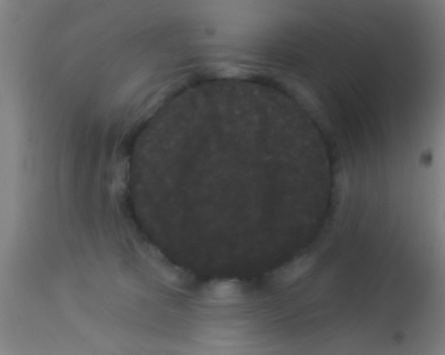 X0000113160325200910161250